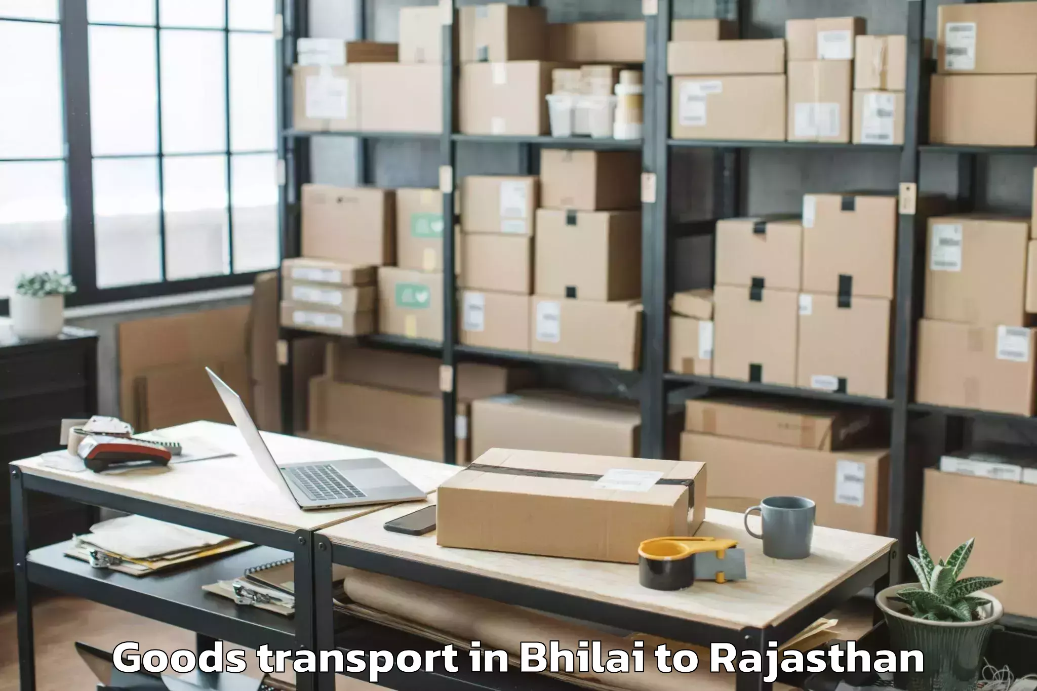 Book Your Bhilai to Ladnu Goods Transport Today